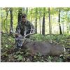 Image 2 : 3 Day Indiana Whitetail Hunt for 1 Hunter and 1 Non-Hunter