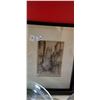 Image 1 : Shelf One