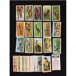 PREHISTORIC ANIMALS TRADING CARDS LOT