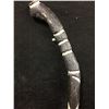 Image 2 : NATIVE ART WALKING STICK