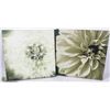 Image 1 : 2 CANVAS PICTURES