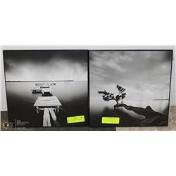 SET OF 2 SQUARE BLACK & WHITE WALL