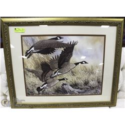CANADIAN GEESE ORNATE FRAME PICTURE 26X31.