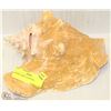 Image 1 : EXTRA LARGE CONCH SHELL.