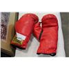 Image 1 : EVERLAST BOXING GLOVES