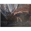 Image 2 : AUTUMN MORNING GRIZZLEY BY RON PARKER #24535