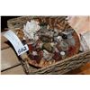 Image 2 : TRAY OF SHELLS AND SEMI PRECIOUS STONES