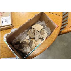 BOX OF FOSSILS