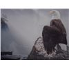Image 2 : PRIDE OF THE PACIFIC RIM BY GLENN OLSON #24675
