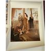 Image 8 : Collection of 8 posters and prints of artworks