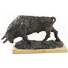 Image 1 : Dotero, bull