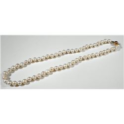 Quality pearl necklace with K14 gold clasp
