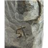 Image 3 : Unique! Handcrafted wood carving from a British detention camp for Jewish Olim in Cyprus