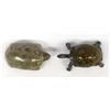 Image 2 : Carved Petosky Stone Turtle & Cast Metal Turtle
