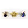 Image 1 : 3 Vintage Insect Pins