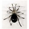 Image 1 : Native American Navajo Silver & Onyx Spider Pin