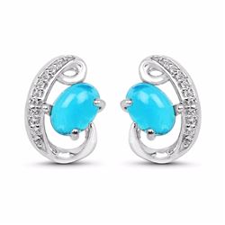 STERLING SILVER PARAIBA OPAL EARRINGS