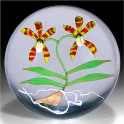 42: Chris Buzzini 1989 AP Orchids Paperweight