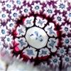 Image 2 : 91: Perthshire 1973 Carpet Ground Paperweight