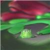 Image 2 : 97: Perthshire 1980 Overlay Rose Paperweight