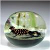 Image 2 : 121: Harold Hacker Salamander Paperweight