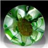 Image 1 : 141: Joe St. Clair Sea-Turtle Paperweight