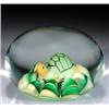Image 1 : 142: Joe St. Clair Turtle Paperweight
