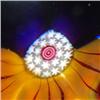 Image 2 : 145: Antique Baccarat Pansy Paperweight