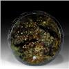 Image 1 : 274: William Manson Bat Cave Paperweight