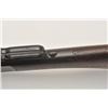 Image 5 : 17MK-1 1873 WINCHESTER #63274Winchester Model 1873 Saddle Ring Carbine,  .44 WCF, Serial #63274.  Th