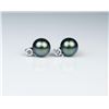 Image 1 : 18CAI-12 BLACK PEARL EARRINGSElegant earrings featuring two Black Pearls  averaging 8.00 MM in diame