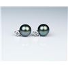 Image 2 : 18CAI-12 BLACK PEARL EARRINGSElegant earrings featuring two Black Pearls  averaging 8.00 MM in diame