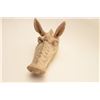Image 2 : EVE-9 TERRA COTTA FIGUREAncient Terra Cotta figure of boar’s head.  Mr. Vaule’s research indicates 3