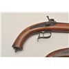 Image 12 : 18AR-61 PERC TGT P;ISTOLPair of late percussion pistols with back  action locks showing small proofs