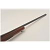 Image 4 : 18BF-1 RUGER #75-37342Ruger M-77 bolt action rifle, 7mm Rem Mag,  #75-37342, 24" barrel, no sights, 