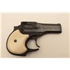 Image 3 : 18AL-55 HI STANDARD #D02954High Standard O/U derringer, .22 caliber,  blued finish, simulated ivory 