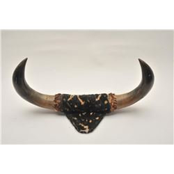 185EMY-25 MOUNTED BISON HORNSAntique mounted pair of American bison horns  on plaque, approximately 