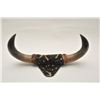 Image 1 : 185EMY-25 MOUNTED BISON HORNSAntique mounted pair of American bison horns  on plaque, approximately 