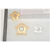 Image 2 : 18AP-84 TEXAS BADGES REPRORiker case of 10 reproduction Texas badges.      Est.:  $150-$300.