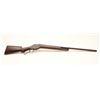 Image 5 : 17AY-7 WINCHESTER MDL 1887 #44777Winchester Model 1887 lever action shotgun,  12 gauge, Serial #4477