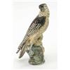 Image 1 : A German porcelain figure of a hawk, clutching it's prey perched on a naturalistic base, some res...