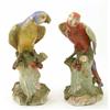 Image 1 : A large pair of 19th century Dresden porcelain parakeet models, each perched on tree-stem, painte...