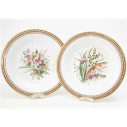 A set of twelve painted Worcester plates, each with a central spray of painted flowers on white g...