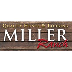 5 Bird Pheasant Shoot – Guide and Dog Provided