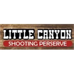 Pheasant Hunt at Little Canyon Shooting Preserve