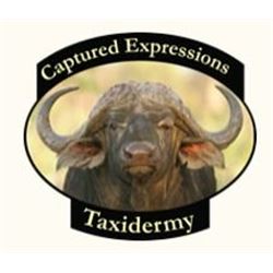 Deer Size Shoulder Mount