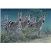 SCI 2018 Featured Print of the Year by Artist of the Year, Linda Besse