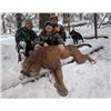 Image 4 : Selkirk Outfitters Mountain Lion Hunt