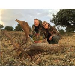 Iberian Red Deer, Iberian Mouflon Sheep, European Fallow Deer, European Roe Deer or Balearean Boc hu