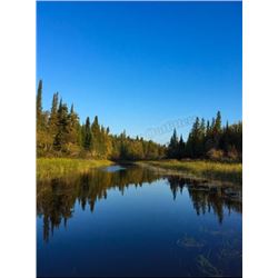 Canadian Duck and Grouse Hunt